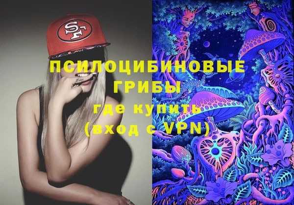 прущие крисы Абаза