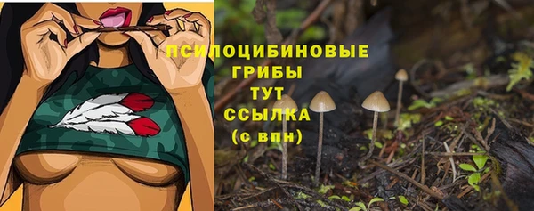 не бодяженный Алзамай
